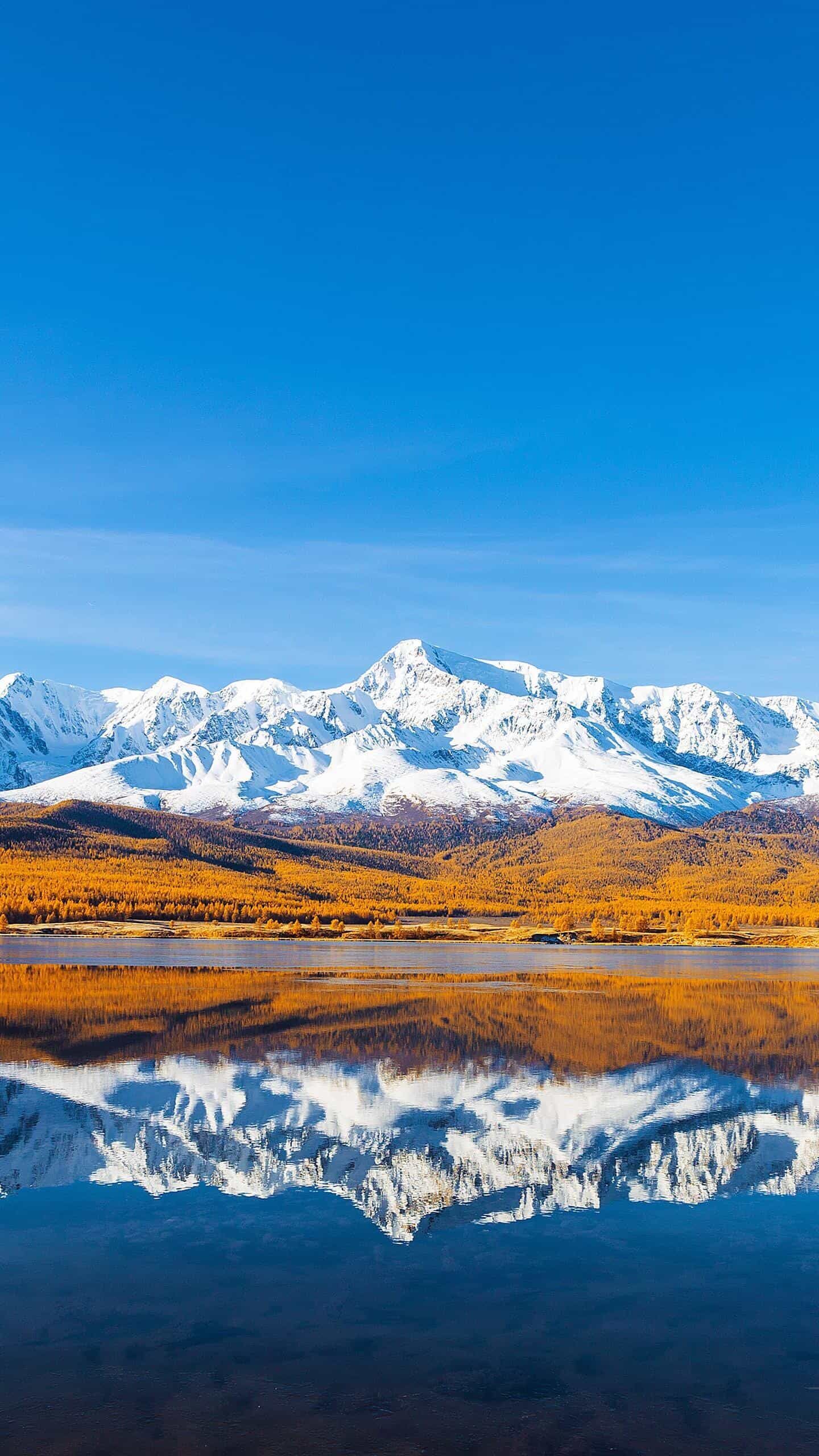 《独立服务器选购终极指南：性能、价格、安全，一文全解析！》